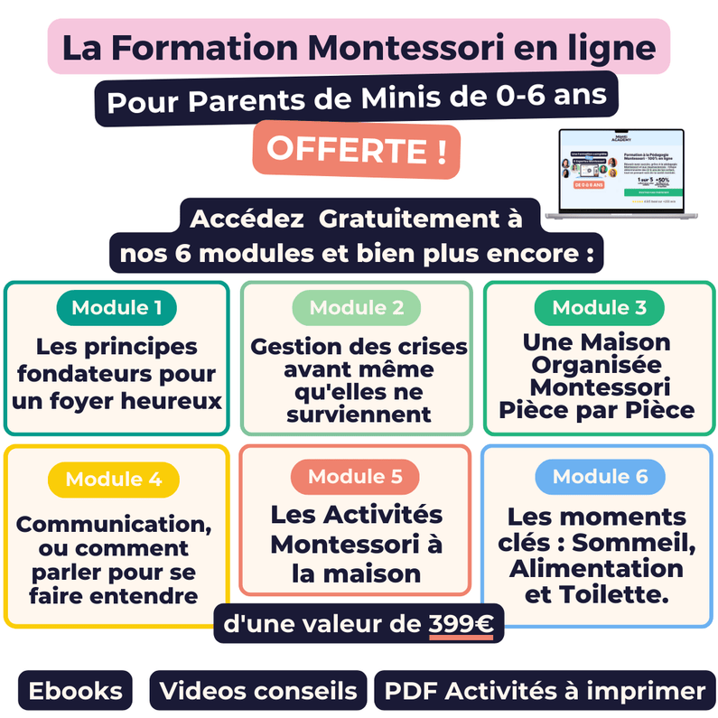 Lot Tour d'observation et Arche - Monti Family
